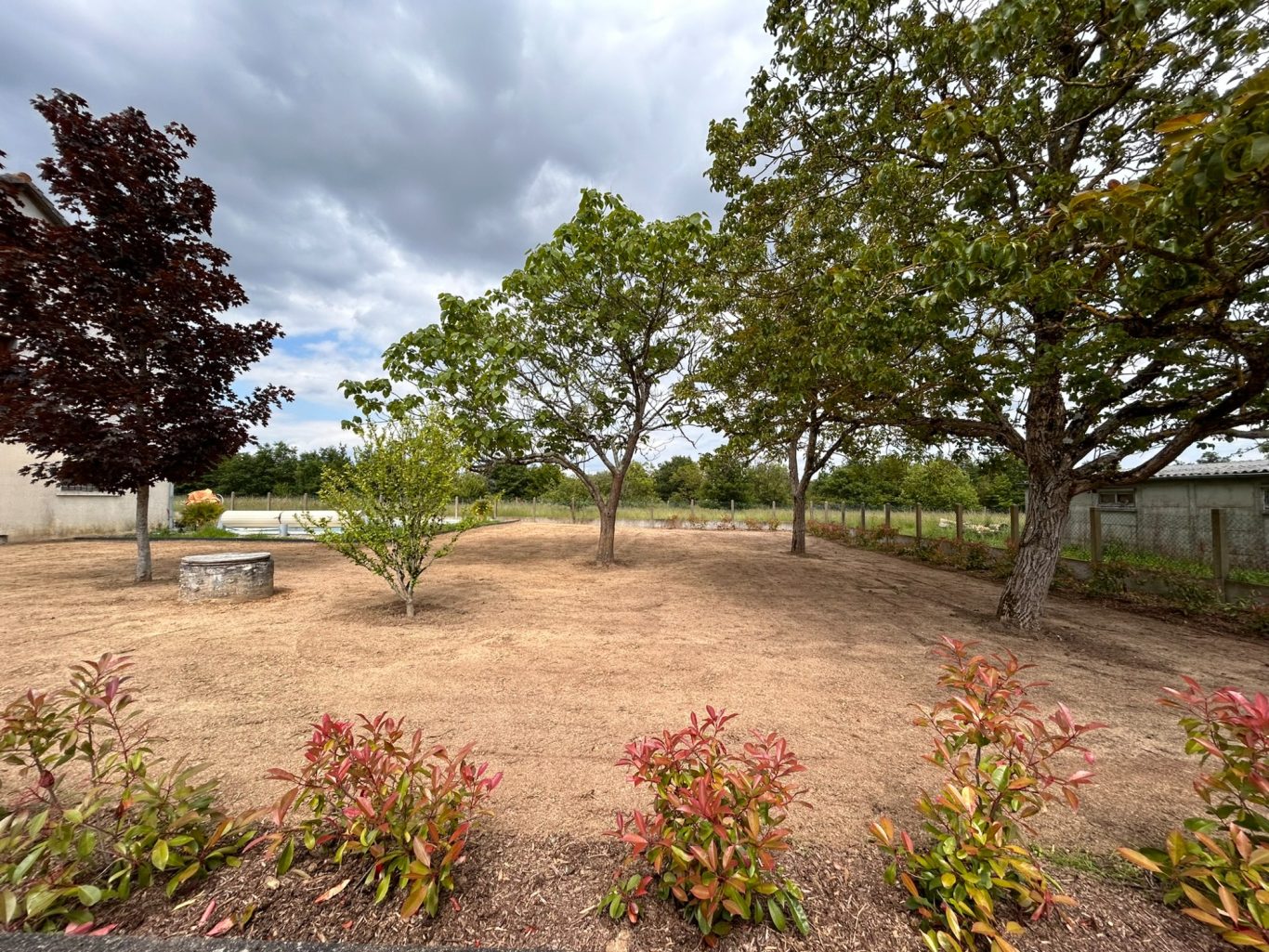 Haie de photinia / Semi de gazon Jardin avec des arbres, un banc et des plantes colorées sous un ciel nuageux.