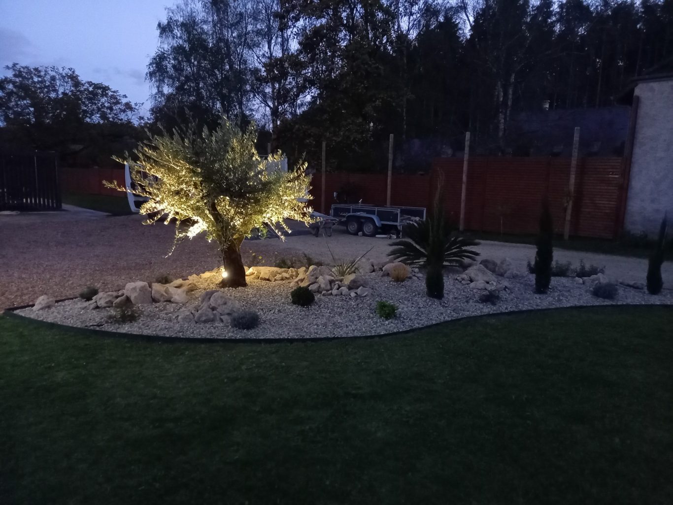 Eclairage d'olivier Jardin éclairé la nuit avec un palmier, des pierres et des plantes en pot.