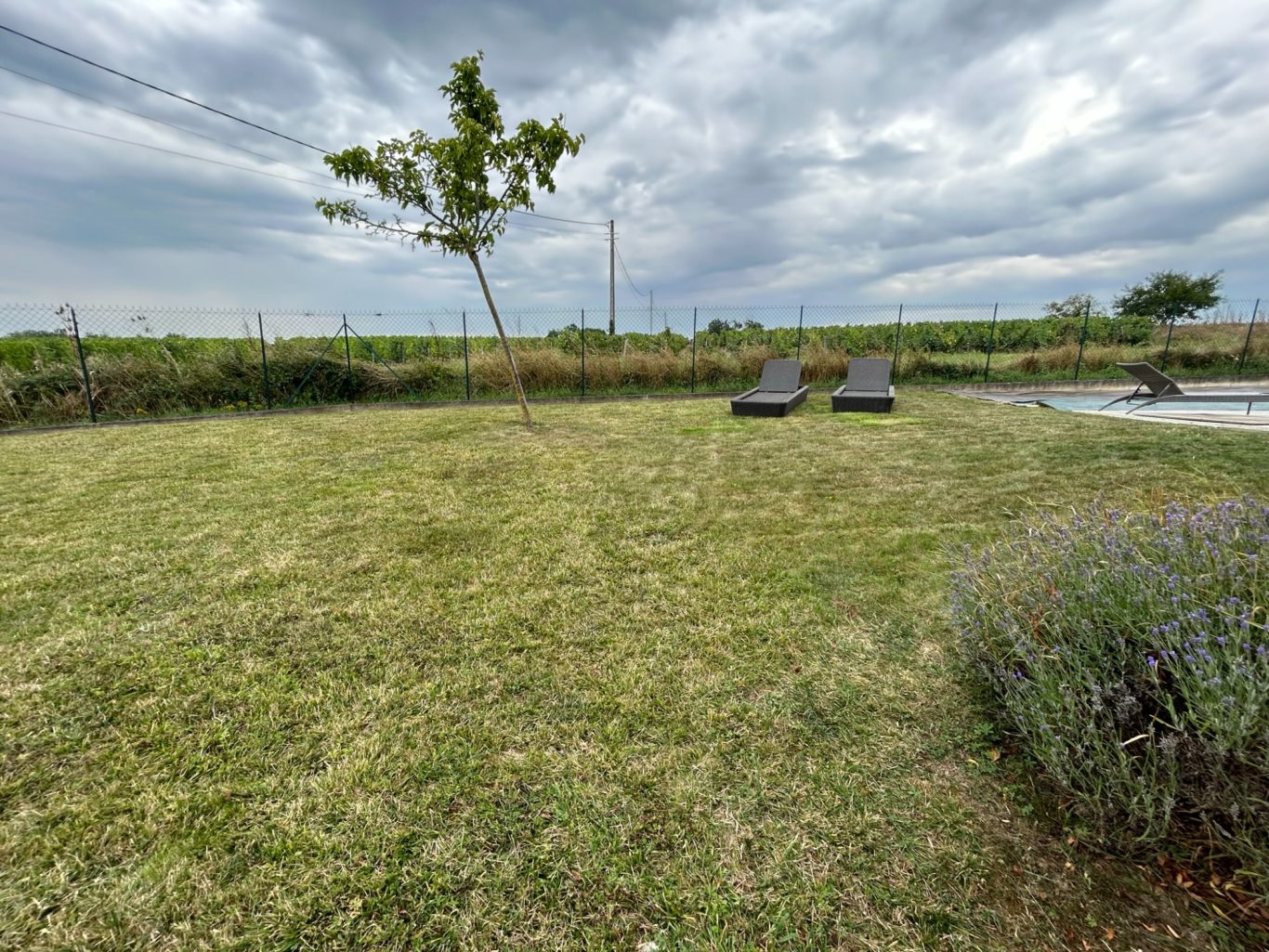 Entretien d'un gite Un jardin verdoyant avec chaises longues et ciel nuageux en arrière-plan.