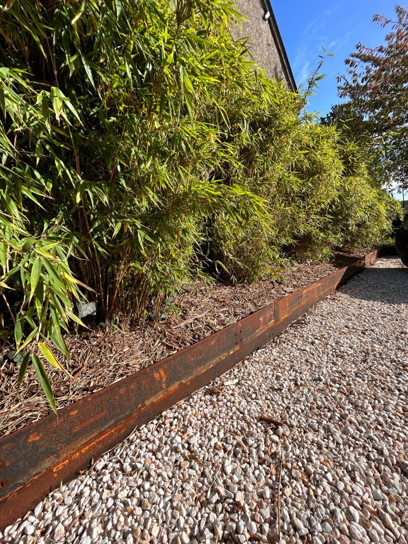 Haie de Fargesia Bordure en bois entourée de bambous dans un jardin avec gravier.
