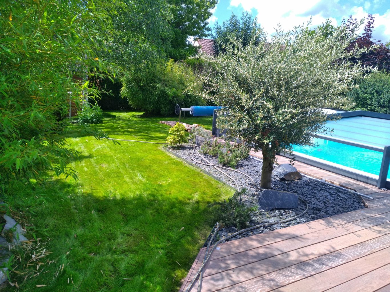 Implantation de massif Jardin verdoyant avec une piscine et des plantes d'ornement.