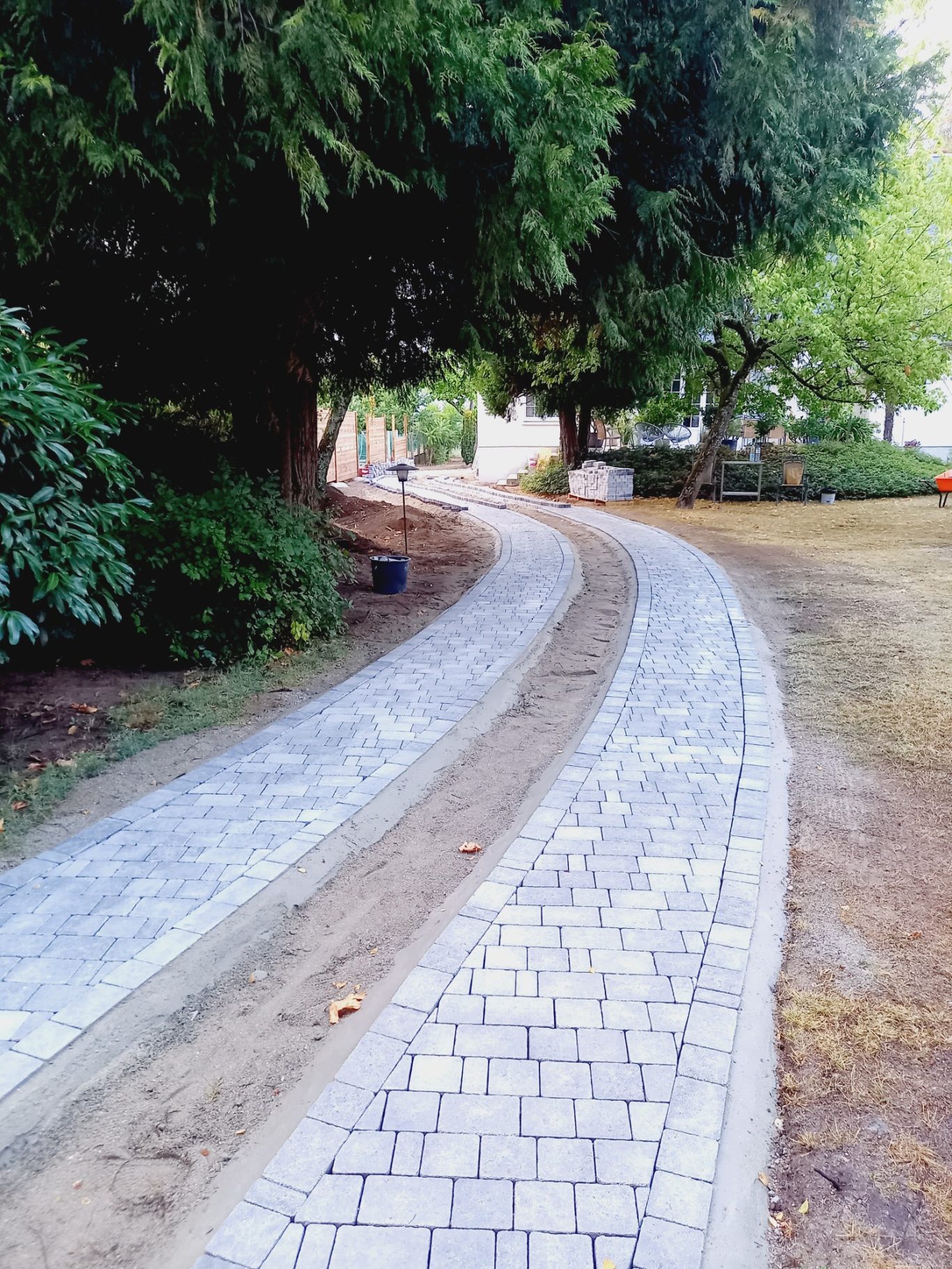 Pose des bordures Allée sinueuse en pavés, entourée d'arbres et de végétation.