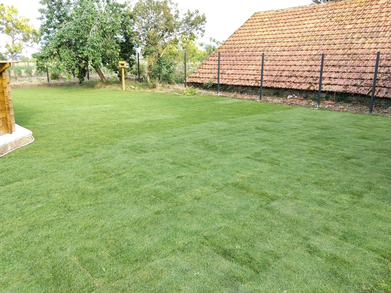 Gazon de placage Pelouse verte bien entretenue avec un bâtiment en ardoise en arrière-plan.