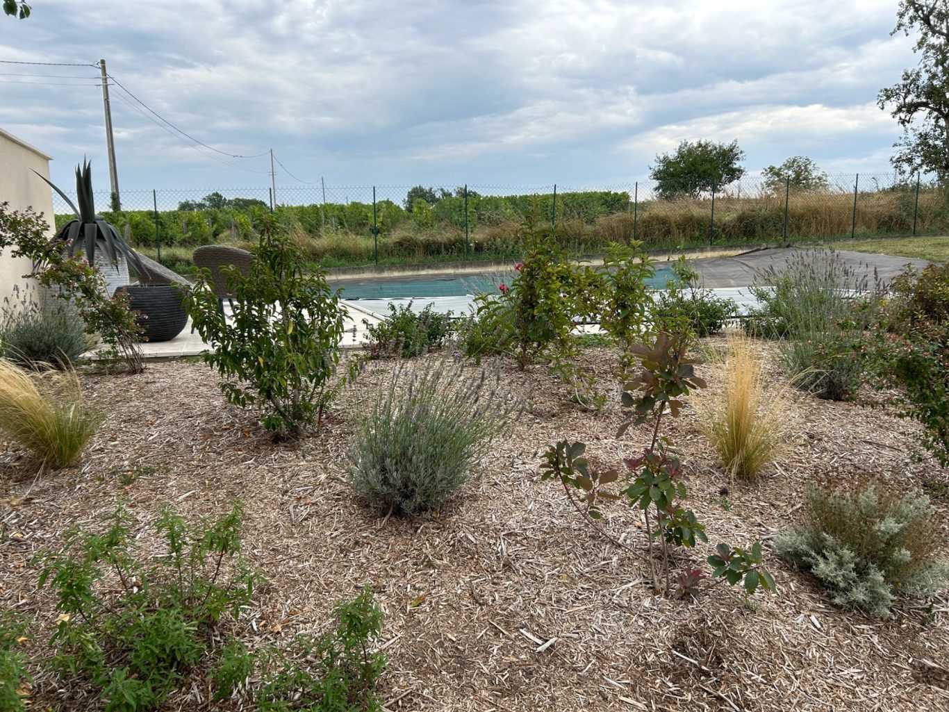 Désherbage de massif Jardin paysager avec des plantes, une piscine et des vignes en arrière-plan sous un ciel nuageux.