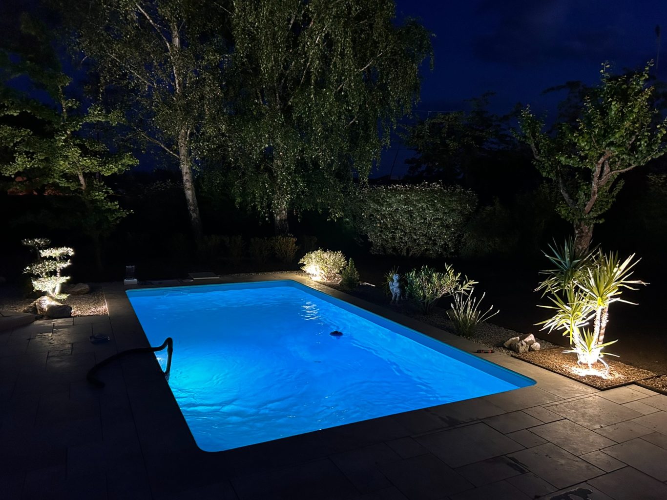 Eclairage de massif Piscine éclairée la nuit, entourée de plantes et d'arbres, ambiance paisible.
