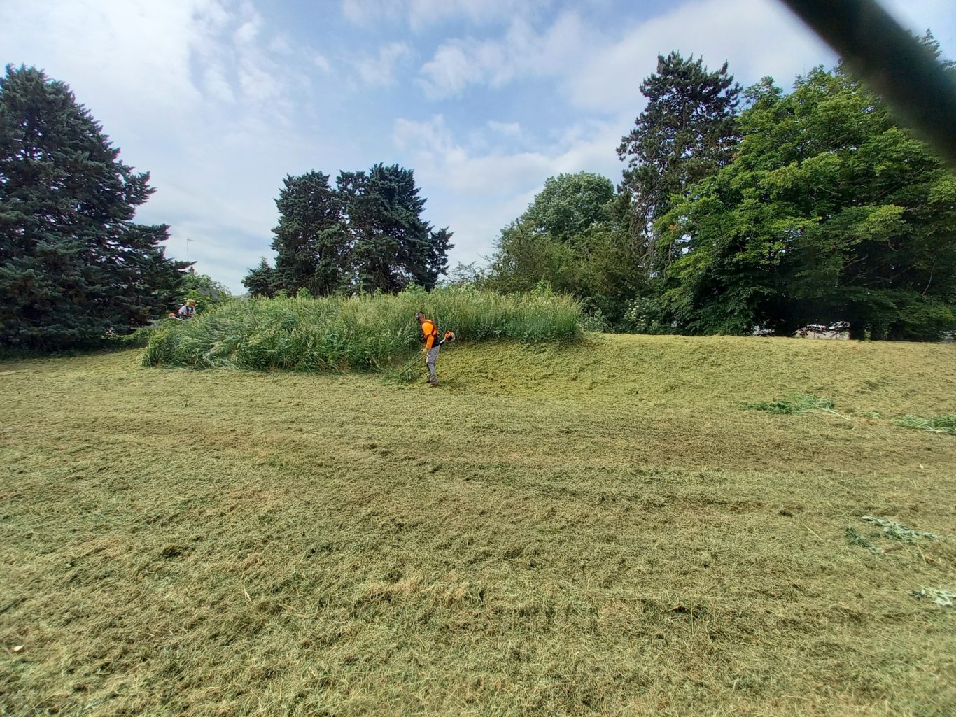 Fauche d'un talus Homme en orange tondant une prairie verdoyante, entouré d'arbres.