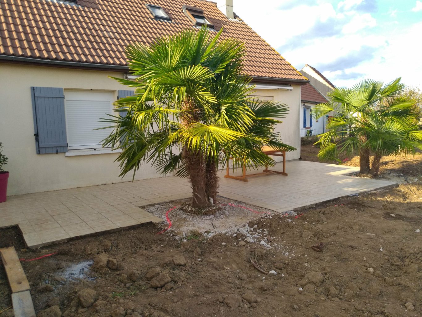 Palmiers pour arboré une terrasse Maison avec palmiers et terrasse, espace jardin en cours d'aménagement.