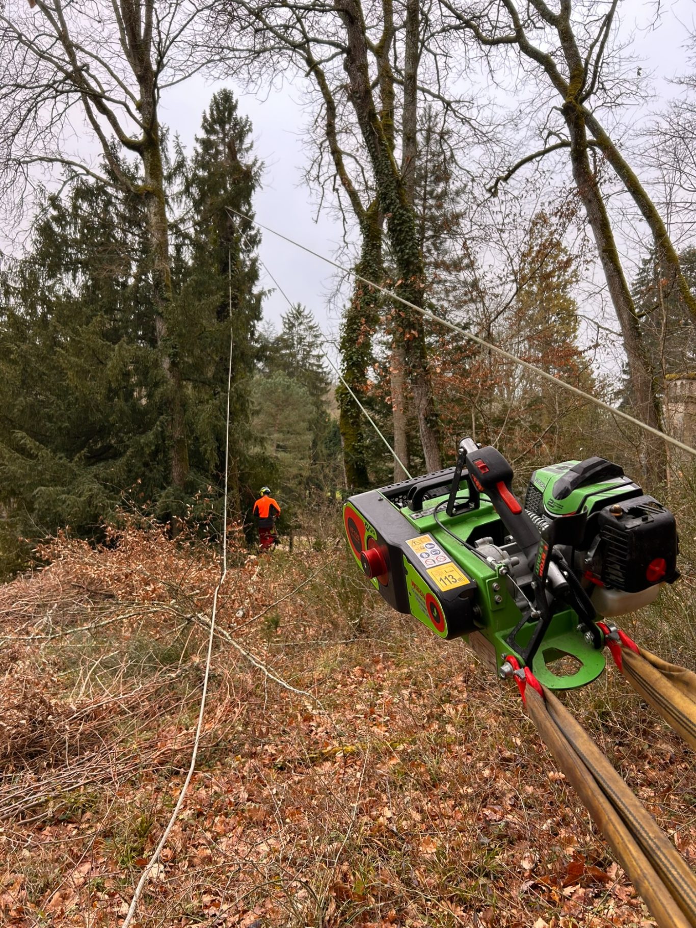 Treuil pour abattage d'arbre Outils de coupe dans une forêt, avec un bûcheron en arrière-plan.